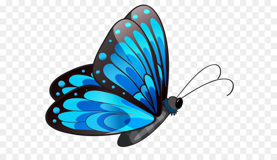 Butterfly Clip art - Transparent Blue Butterfly PNG Clipart png download - 4155*3205 - Free Transparent Butterfly png Download.