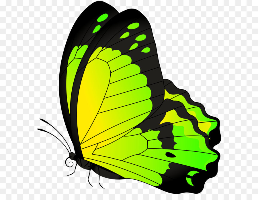 Butterfly Clip art - Butterfly Yellow Green Transparent Clip Art Image png download - 7621*8000 - Free Transparent Butterfly png Download.