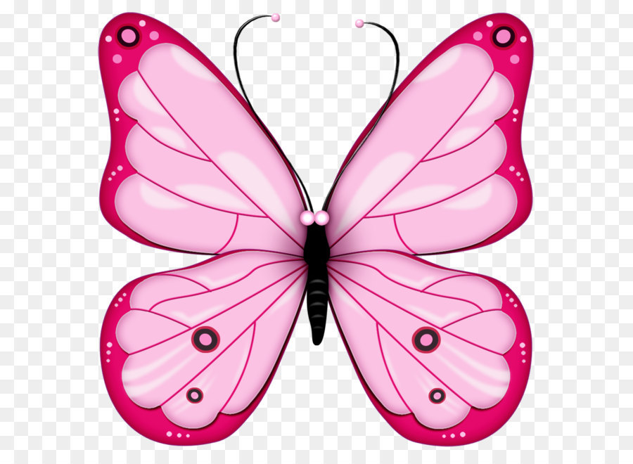 Butterfly Clip art - Pink Transparent Butterfly Clipart png download - 929*928 - Free Transparent Butterfly png Download.