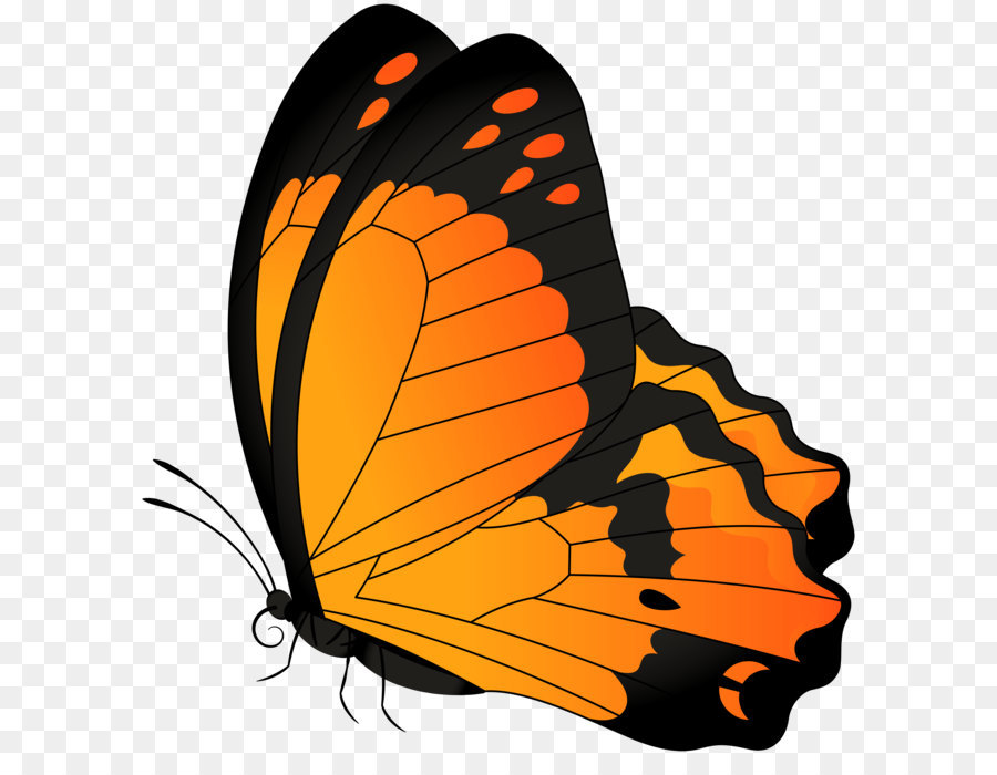 Butterfly Clip art - Butterfly Orange Transparent Clip Art Image png download - 7620*8000 - Free Transparent Butterfly png Download.