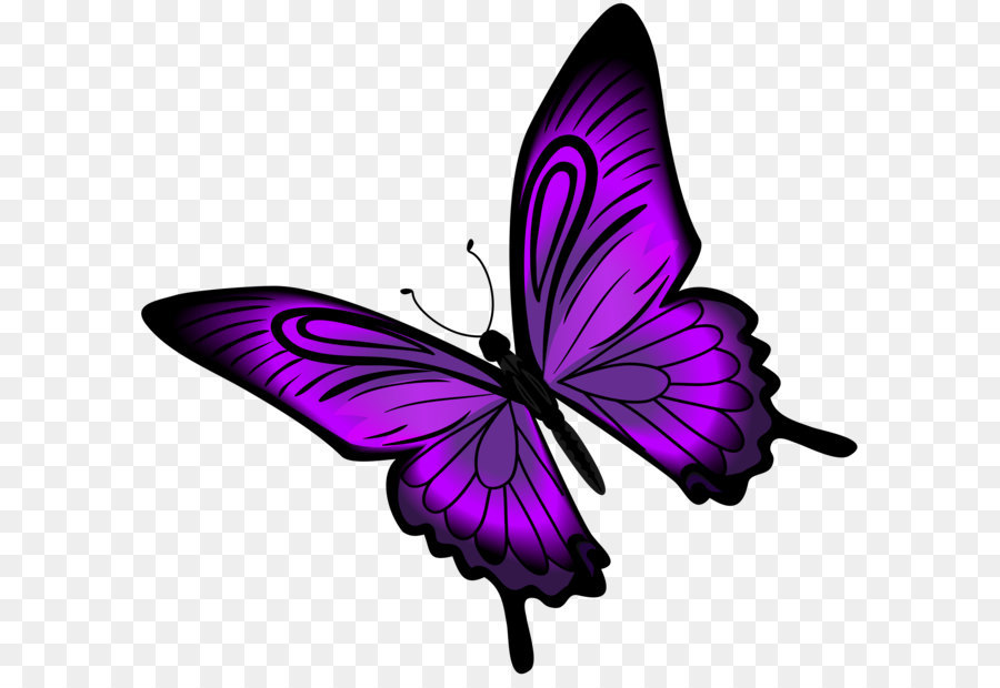Purple Butterfly Clip art - Purple Butterfly PNG Clip Art png download - 8000*7512 - Free Transparent Butterfly png Download.