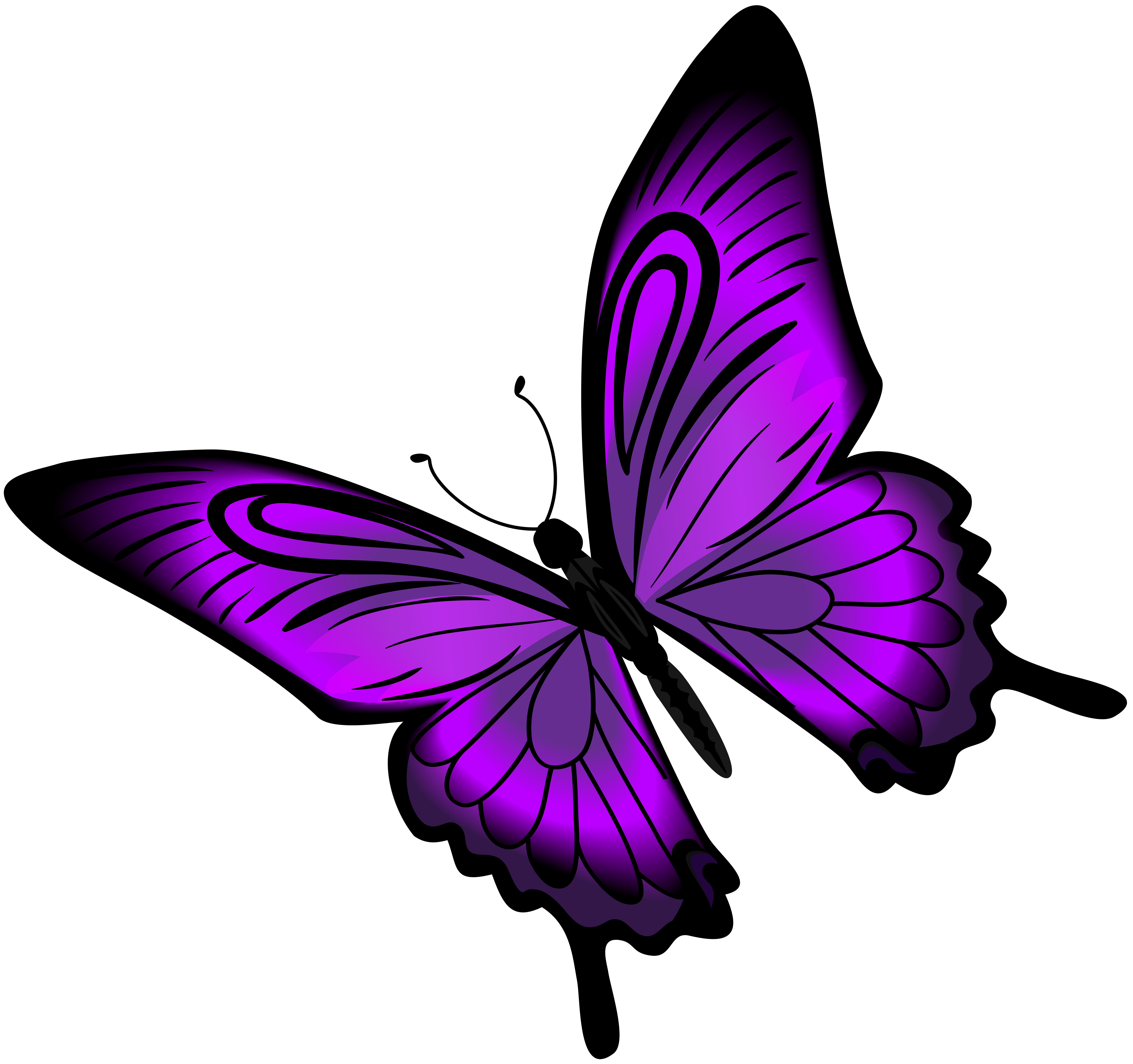 Hơn 400 Transparent background purple butterfly png Chất lượng cao, tải ...