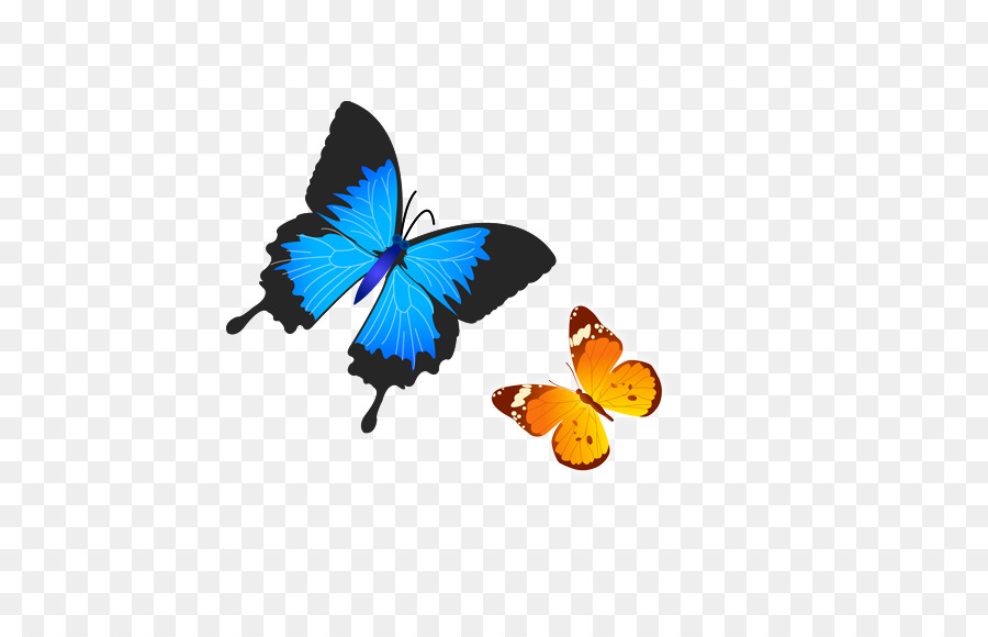 Butterfly - Flying Butterfly png download - 576*576 - Free Transparent Butterfly png Download.