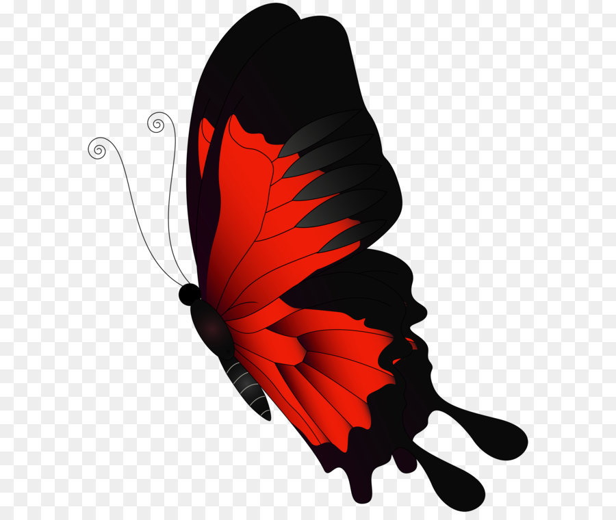 Butterfly Flight - Red Flying Butterfly PNG Clip Art png download - 4323*5000 - Free Transparent Butterfly png Download.