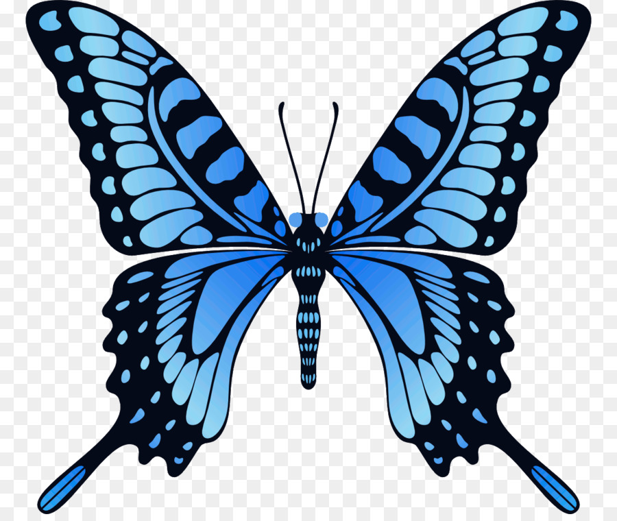 Butterfly GIF Animation Image Desktop Wallpaper - butterfly png download - 1200*1000 - Free Transparent Butterfly png Download.