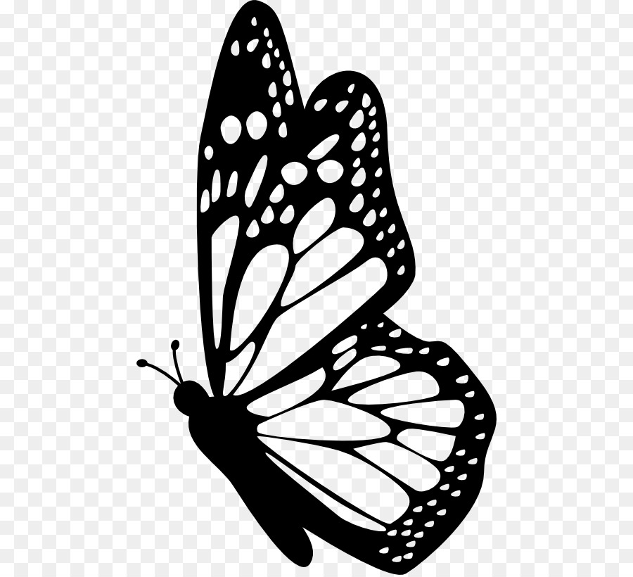Monarch butterfly Insect Clip art - butterfly png download - 512*817 - Free Transparent Butterfly png Download.