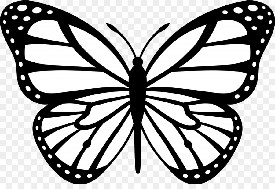Monarch butterfly Outline Clip art - Cartoon Monarch Butterfly png download - 940*632 - Free Transparent Butterfly png Download.