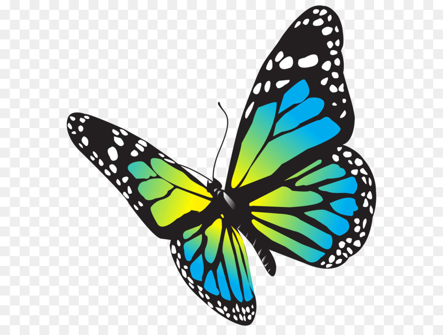 Large Butterfly PNG Clip Art Image png download - 7178*7422 - Free Transparent Butterfly png Download.