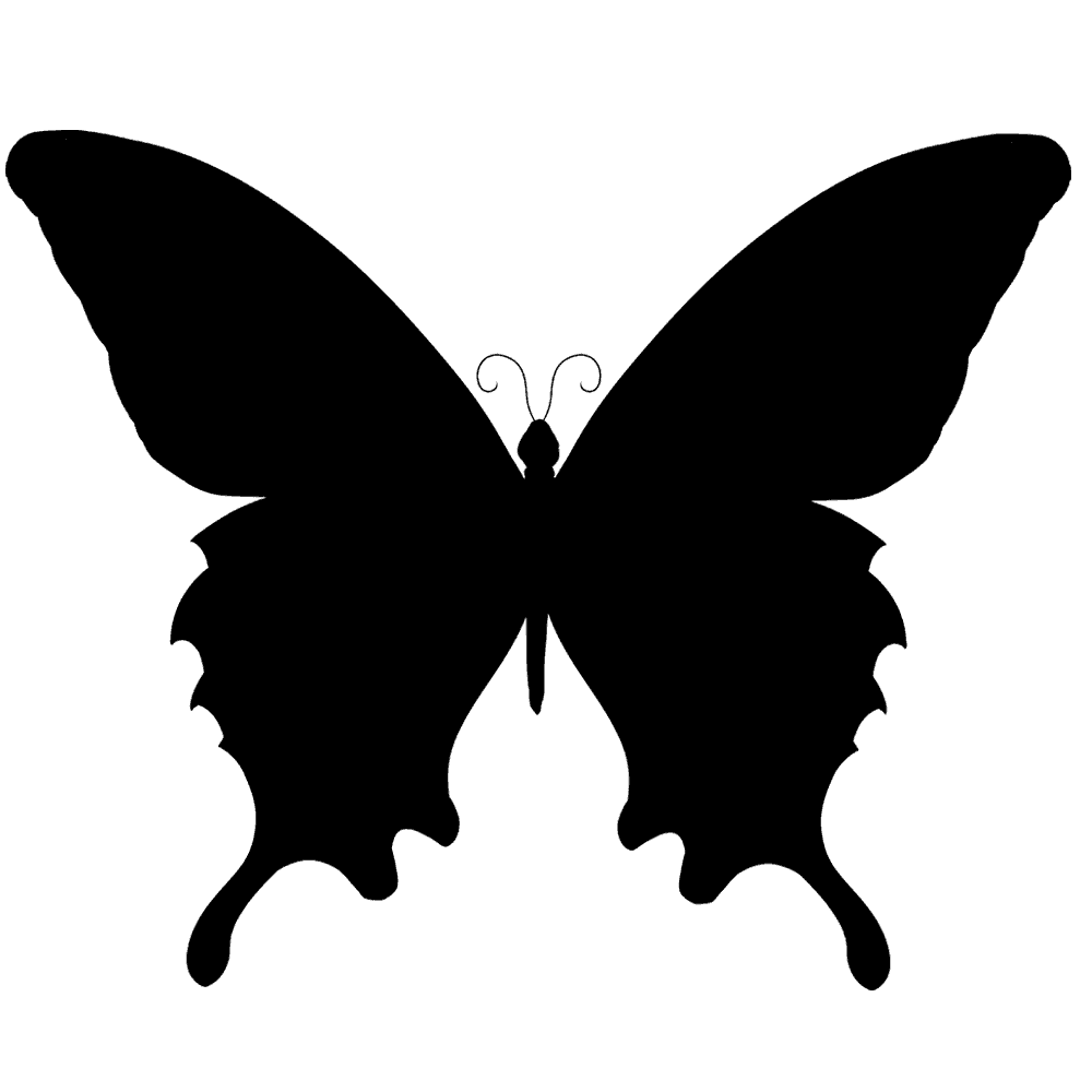 Butterfly Silhouette - butterfly png download - 1000*1000 - Free ...