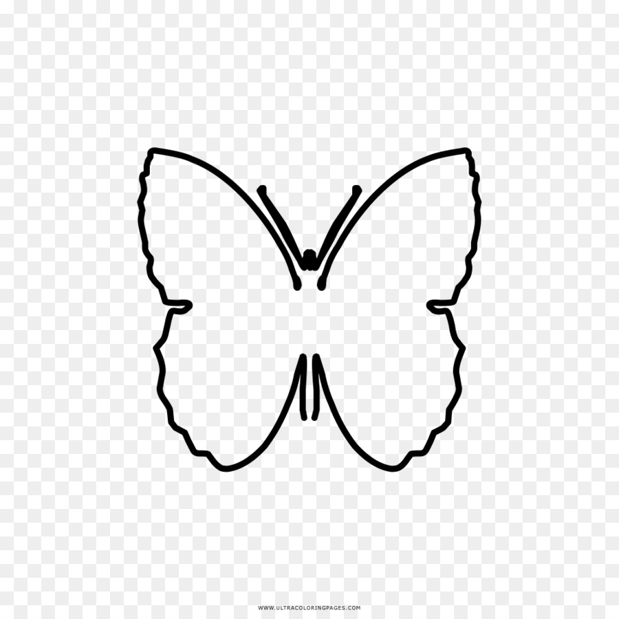 Brush-footed butterflies Butterfly Drawing Coloring book Black and white - butterfly png download - 1000*1000 - Free Transparent  png Download.