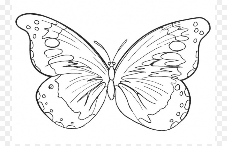 Butterfly Coloring book Drawing Clip art - outlines of butterflies png download - 806*573 - Free Transparent Butterfly png Download.