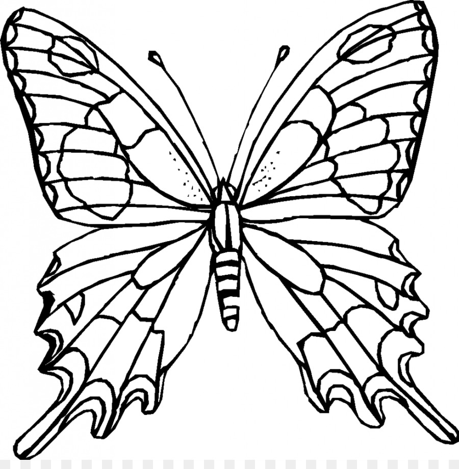 Monarch butterfly Outline Coloring book Clip art - black and white outline pictures png download - 940*942 - Free Transparent Butterfly png Download.