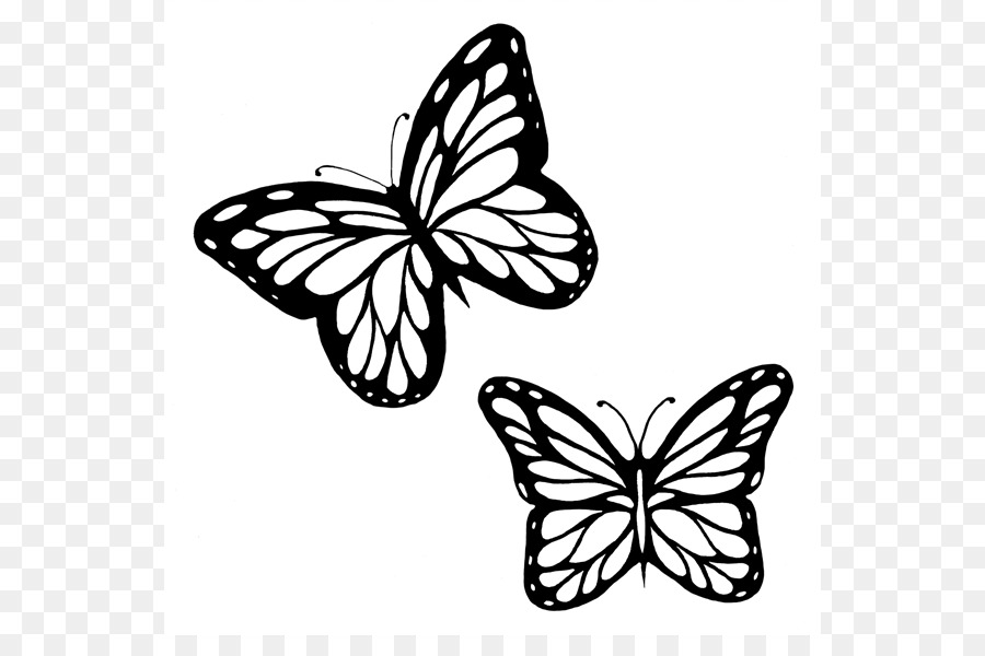 Monarch butterfly Outline Drawing Clip art - Butterflies Black And White Outline png download - 600*581 - Free Transparent Butterfly png Download.
