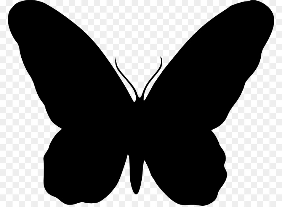 Butterfly Vector graphics Clip art Silhouette Portable Network Graphics - butterfly silhouette png download png download - 850*656 - Free Transparent Butterfly png Download.