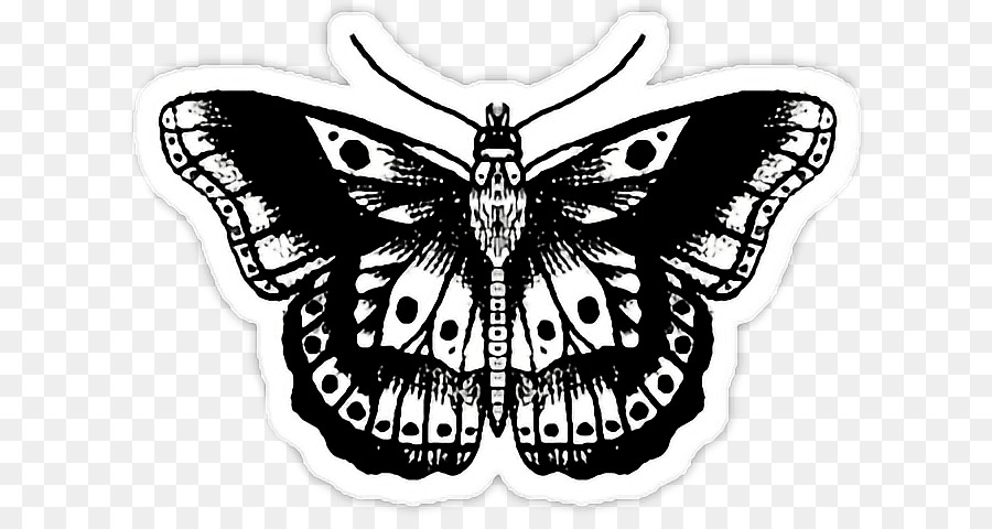 Tattoo Image Butterfly Model Drawing - png tattoo effect png download - 668*468 - Free Transparent Tattoo png Download.