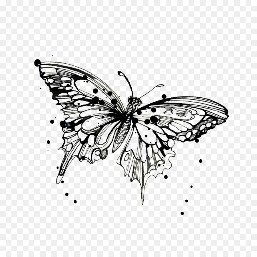 Tattly Temporary Tattoos Monarch butterfly Drawing - average watercolor png download - 1200*1200 - Free Transparent Tattly png Download.