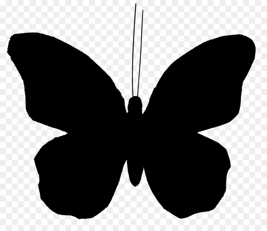 Clip art Butterfly Vector graphics Illustration Image -  png download - 1200*1019 - Free Transparent Butterfly png Download.