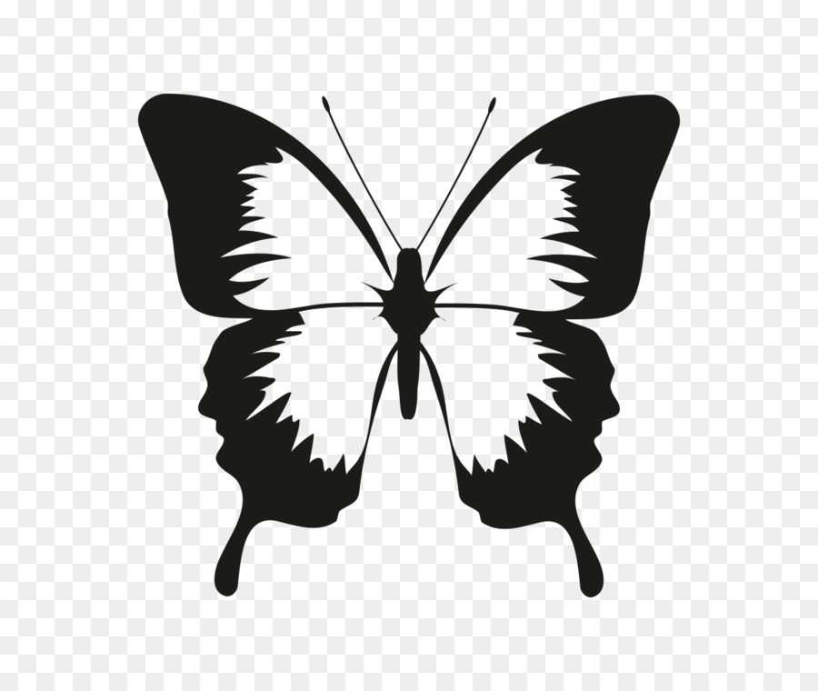 Butterfly Silhouette Vector graphics Clip art Insect - animal rubber stamps png download - 760*760 - Free Transparent Butterfly png Download.