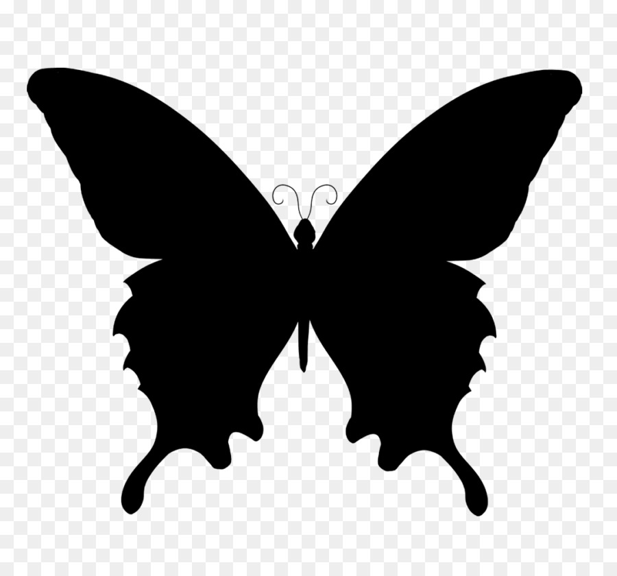 Butterfly Vector graphics Silhouette Clip art Illustration - butterfly silhouette png photography png download - 830*830 - Free Transparent Butterfly png Download.