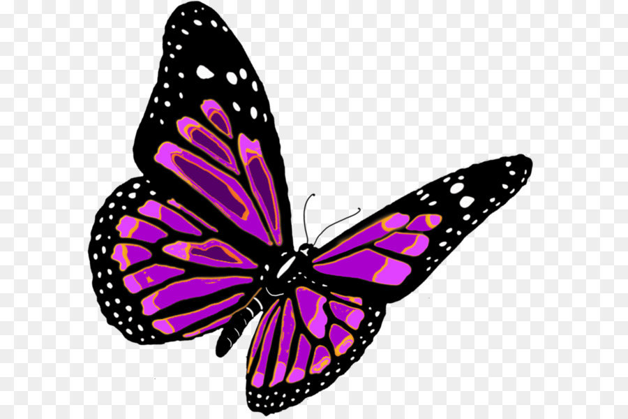 Butterfly Clip art - flying butterfly PNG image png download - 1053*967 - Free Transparent Butterfly png Download.