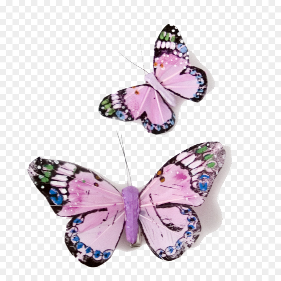 Monarch butterfly Nymphalidae Color - Pink Butterfly Transparent PNG png download - 1000*1000 - Free Transparent Butterfly png Download.