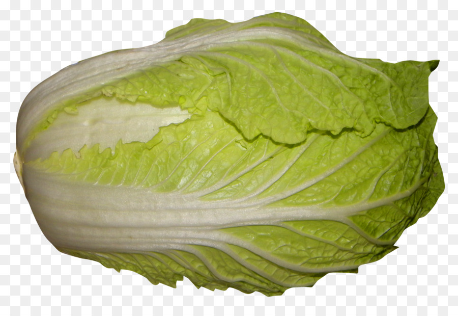 Red cabbage Romaine lettuce Napa cabbage - Napa Cabbage png download - 1375*920 - Free Transparent Cabbage png Download.