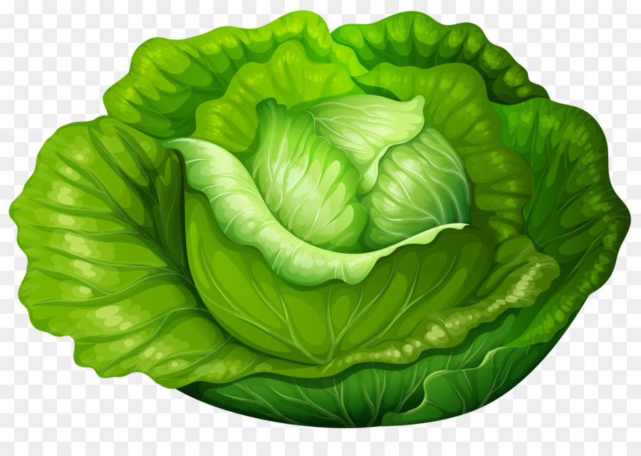 Iceberg lettuce Cabbage Vegetable Clip art - cabbage png download - 6000*4161 - Free Transparent Iceberg Lettuce png Download.
