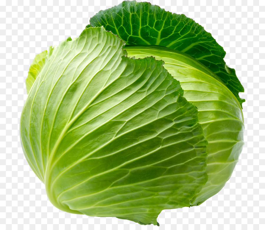 Savoy cabbage Leaf vegetable - cabbage png download - 768*768 - Free Transparent Cabbage png Download.
