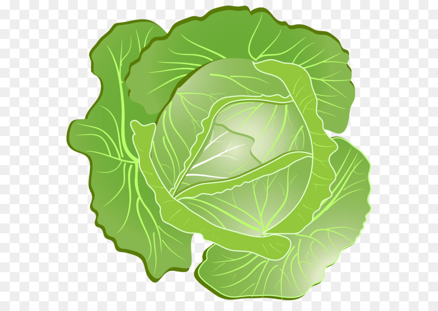 Wild cabbage Icon - Cabbage PNG image png download - 3000*2920 - Free Transparent Cabbage png Download.