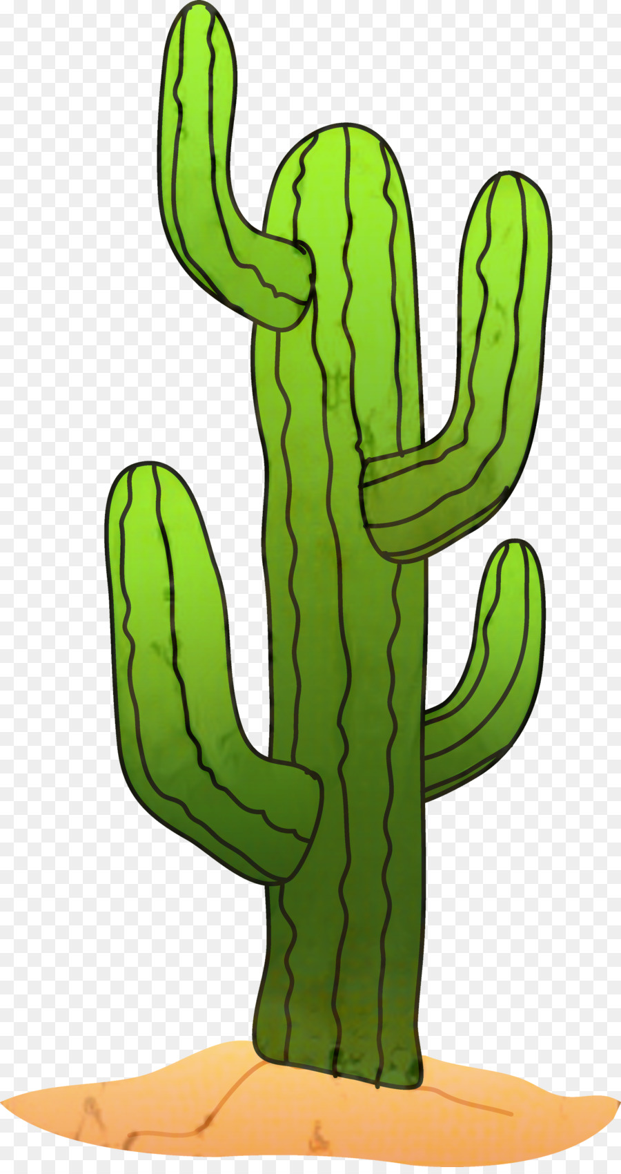 Cactus Clip art Saguaro Portable Network Graphics Image -  png download - 1598*3000 - Free Transparent Cactus png Download.
