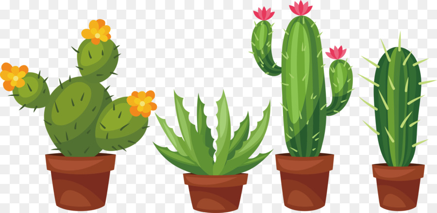 Succulent plant Cactaceae Prickly pear Clip art - Hand-painted palm potted cactus png download - 4691*2292 - Free Transparent Succulent Plant png Download.