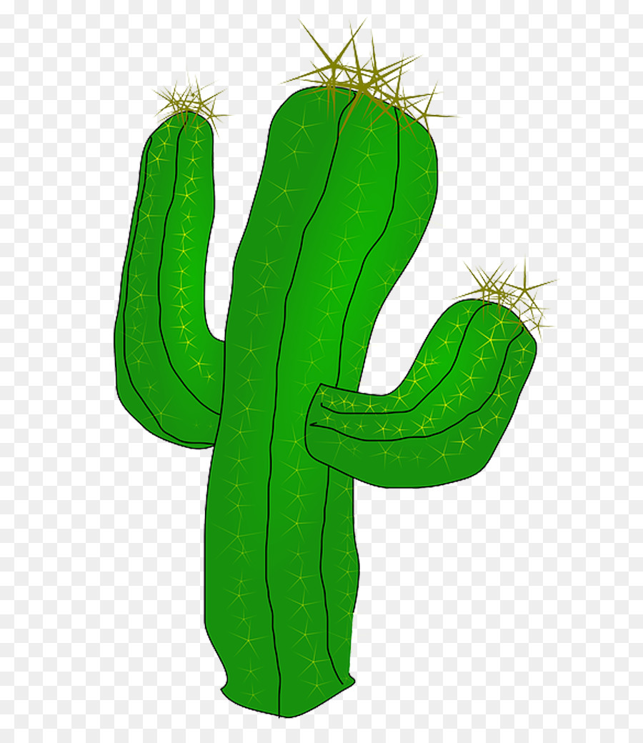 Succulents and Cactus Cactaceae Desert Clip art - Free Images Best Clipart Cactus png download - 768*1024 - Free Transparent Succulents And Cactus png Download.