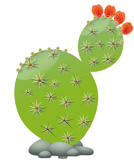 Cactaceae Clip Art Cactus Vector Png Download Full Si - vrogue.co