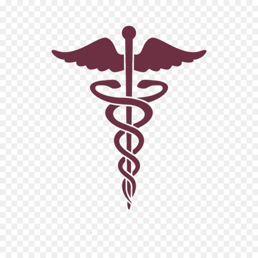 Caduceus as a symbol of medicine Staff of Hermes Medical college Physician - uae png download - 1060*1060 - Free Transparent Medicine png Download.
