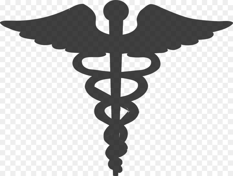 Staff of Hermes Caduceus as a symbol of medicine Clip art - health png download - 1920*1450 - Free Transparent Staff Of Hermes png Download.