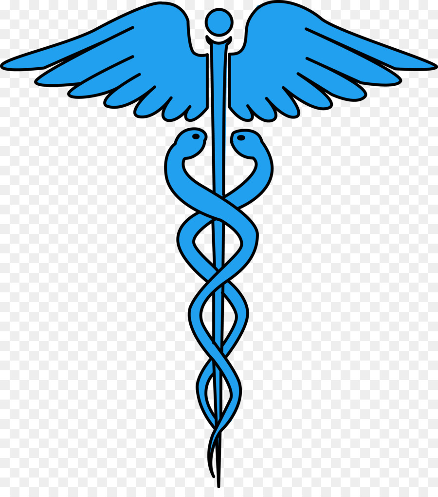 Staff of Hermes Caduceus as a symbol of medicine Clip art - eyelash logo png download - 2528*2815 - Free Transparent Staff Of Hermes png Download.