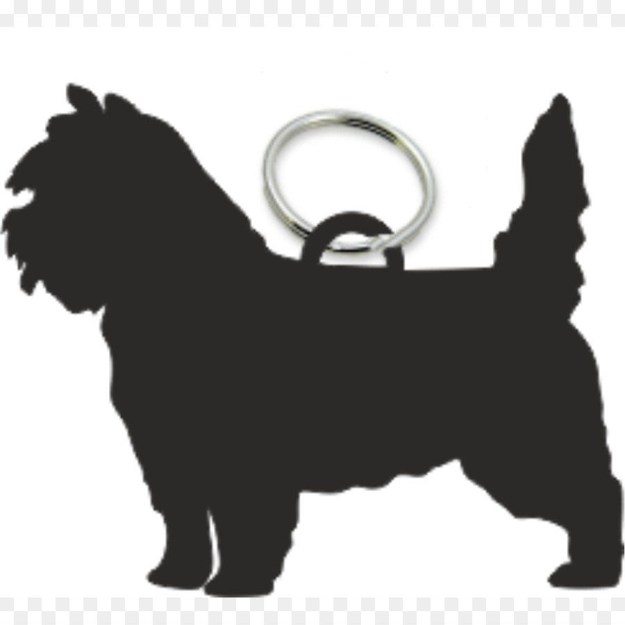 Dog breed Cairn Terrier Puppy Fob - puppy png download - 1000*1000 - Free Transparent Dog Breed png Download.