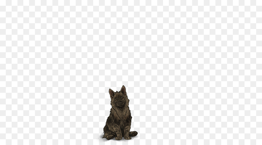 Cairn Terrier Scottish Terrier Cat Puppy Dog breed - hyena png download - 640*500 - Free Transparent Cairn Terrier png Download.