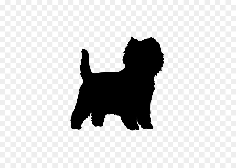 Affenpinscher Puppy Cat Dog breed - puppy png download - 640*640 - Free Transparent Affenpinscher png Download.