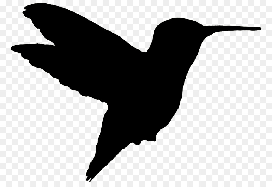Hummingbird Woodpecker The Gardens At Calvary Silhouette - animal silhouettes png download - 1916*1302 - Free Transparent Bird png Download.