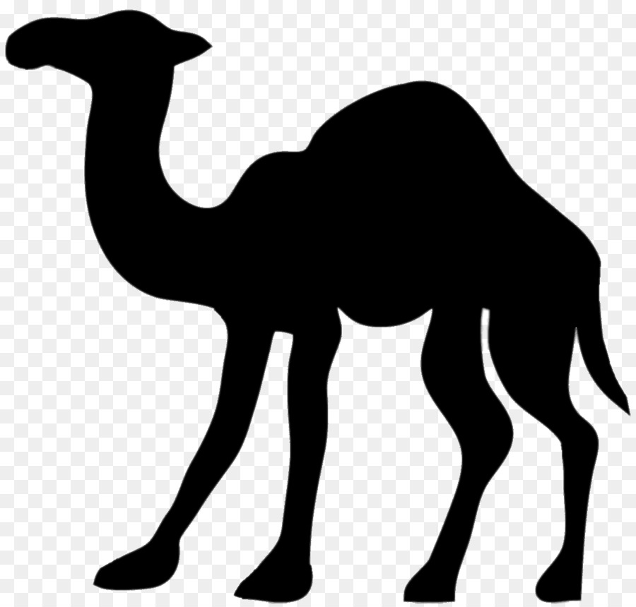 Camel Silhouette Clip art - camel png download - 1200*1141 - Free Transparent Camel png Download.