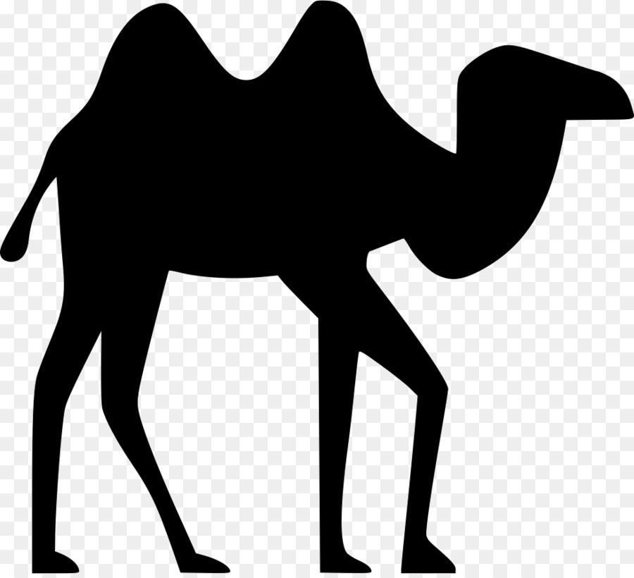 Clip art Silhouette Dromedary Computer Icons Image - imagen svg png download - 980*886 - Free Transparent Silhouette png Download.