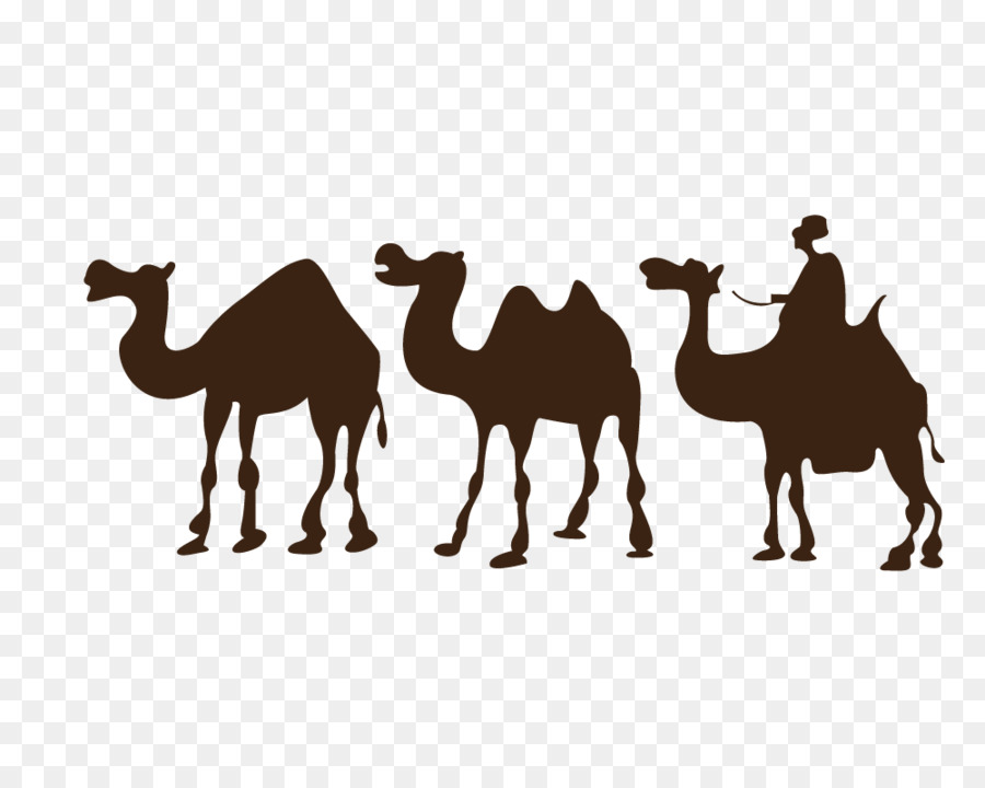Camel Desert Drawing Clip art - Camel Silhouette png download - 1000*800 - Free Transparent Camel png Download.
