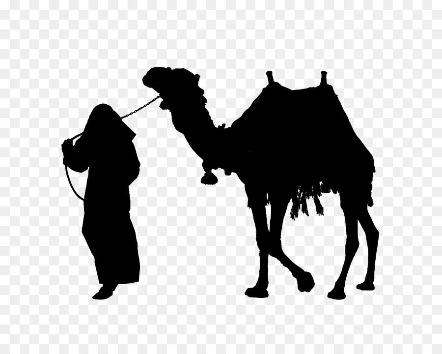 Camel Silhouette Clip art - camel png download - 720*720 - Free Transparent Camel png Download.