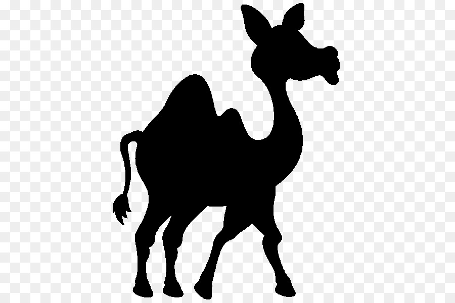 Camel Clip art Silhouette Pack animal Terrestrial animal -  png download - 600*600 - Free Transparent Camel png Download.