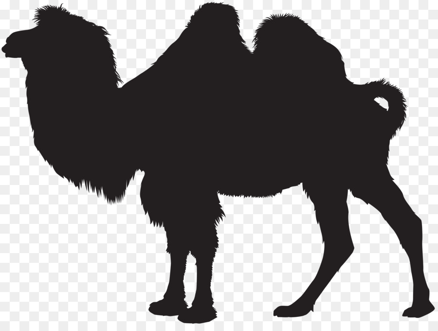 Camel Silhouette Art Clip art - camel png download - 8000*5948 - Free Transparent Camel png Download.
