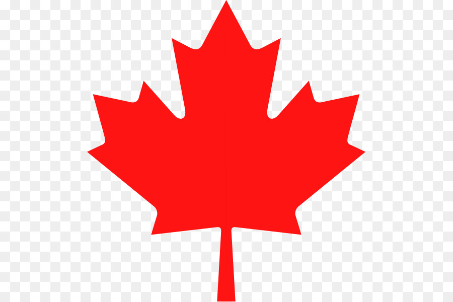 Flag of Canada Flag of Quebec Maple leaf - Maple Leaf Canada White png download - 553*599 - Free Transparent Canada png Download.