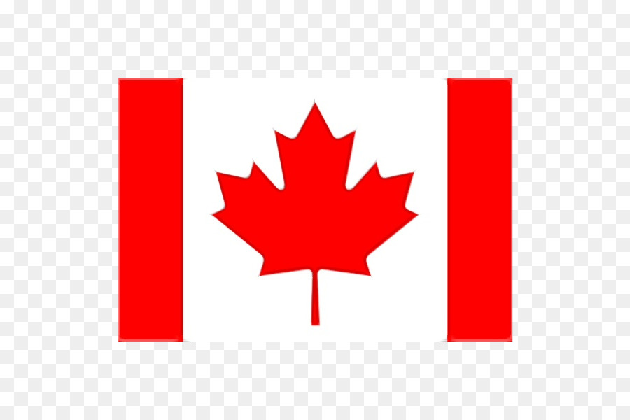 Flag of Canada Great Canadian Flag Debate Flag of Quebec -  png download - 570*600 - Free Transparent Flag Of Canada png Download.