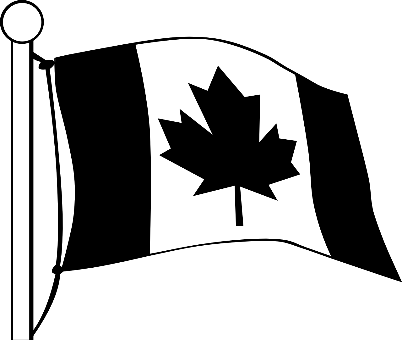 Черные флажки. Черный флаг Канады. Черно белый флаг. Флажок черно белый. Бело черный флаг.