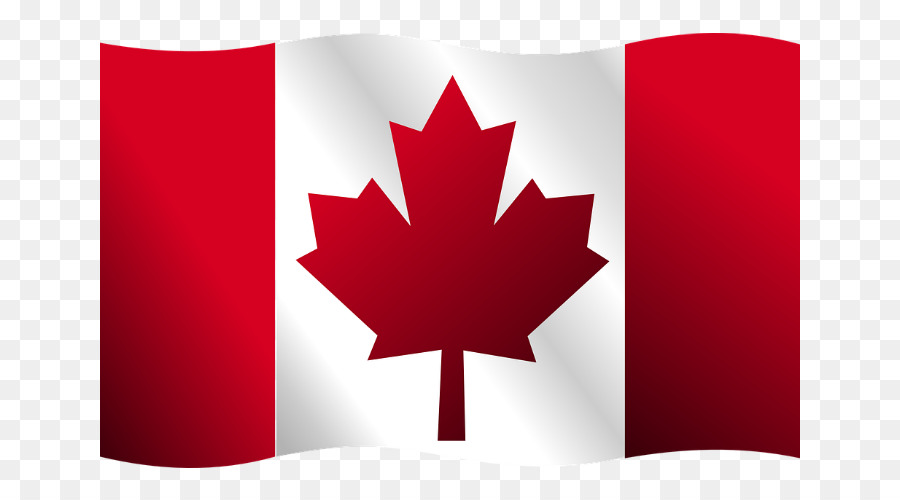 Flag of Canada Vector graphics Clip art - canadian flag png download - 700*500 - Free Transparent Canada png Download.